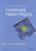 Quantum Approach to Condensed Matter Physics