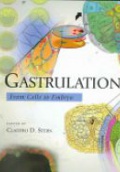 Gastrulation form Cells to Embryo