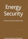 Energy Security: Visions from Asia and Europe