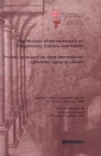 CIL - The Measure of International Law: Effectiveness, Fairness and Validity