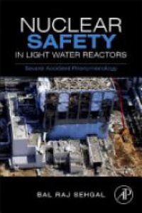 Sehgal, Bal Raj - Nuclear Safety in Light Water Reactors