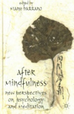 After Mindfulness