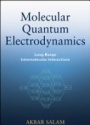 Molecular Quantum Electrodynamics: Long–Range Intermolecular Interactions