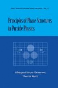 Meyer-ortmanns Hildegard,Reisz Thomas - Principles Of Phase Structures In Particle Physics