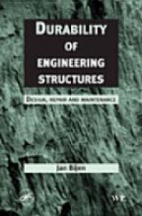 Bijen J. - Durability of Engineering Structures