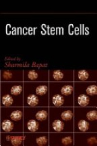 Bapat S. - Cancer Stem Cells
