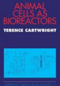 Animal Cells as Bioreactors