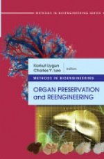 Methods in Bioengineering: Organ Preservation and Reengineering