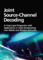Joint Source-Channel Decoding