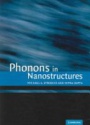 Photons in Nanostructures