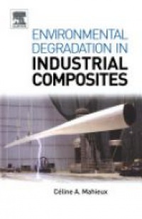 Mahieux C. - Environmental Degradation of Industrial Composites