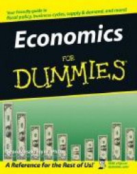 Flynn S. - Economics for Dummies