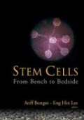 Steem Cells: from Bench to Bedside