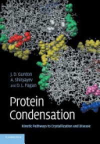 James D. Gunton,Andrey Shiryayev,Daniel L. Pagan - Protein Condensation: Kinetic Pathways to Crystallization and Disease