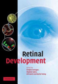 Evelyne Sernagor,Stephen Eglen,Bill Harris,Rachel Wong - Retinal Development