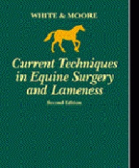 White N.A. - Current Techniques in Equine Surgery and Lameness, 2nd edition