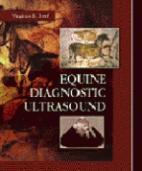 Reef W.B. - Equine Diagnostic Ultrasound