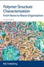 Polymer Structure Characterization: From Nano To Macro Organization