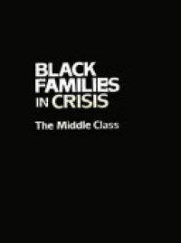Alice F. Coner-Edwards,Jeanne Spurlock - Black Families In Crisis: The Middle Class