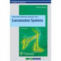 Platzer W. - Color Atlas of Human Anatomy, Vol 1  : Locomotor System