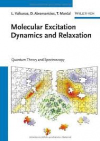 Leonas Valkunas,Darius Abramavicius,Tom&aacute;s Mancal - Molecular Excitation Dynamics and Relaxation: Quantum Theory and Spectroscopy