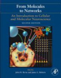 Byrne, John - From Molecules to Networks