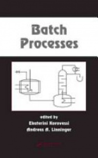 Ekaterini Korovessi,Andreas A. Linninger - Batch Processes