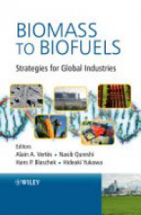 Alain Vertes - Biomass to Biofuels