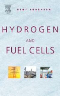 Brandon N. - Fuel Cells Compendium