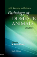 Jubb, Kennedy & Palmer's Pathology of Domestic Animals: Volume 3