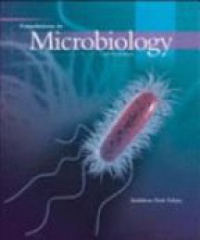 Talaro - Foundations in Microbiology