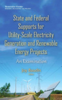Joy Baudin - State & Federal Supports for Utility-Scale Electricity Generation & Renewable Energy Projects: An Examination