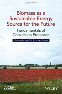 Wiebren de Jong,J. Ruud van Ommen - Biomass as a Sustainable Energy Source for the Future: Fundamentals of Conversion Processes