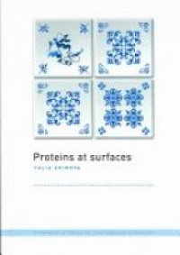 Efimova Y. - Proteins at Surfaces
