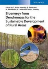 David Butler Manning,Albrecht Bemmann,Michael Bredemeier,Norbert Lamersdorf,Christian Ammer - Bioenergy from Dendromass for the Sustainable Development of Rural Areas