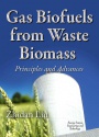 Gas Biofuels from Waste Biomass: Principles & Advances