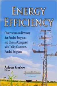 Arleen Garlow - Energy Efficiency: Observations on Recovery Act-Funded Programs & Choices Compared with Utility Customer-Funded Programs
