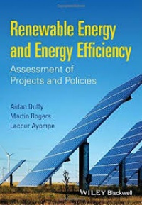 Aidan Duffy,Martin Rogers,Lacour Ayompe - Renewable Energy and Energy Efficiency: Assessment of Projects and Policies