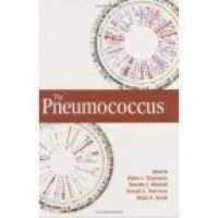Touomanen E. - Pneumococcus