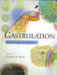 Stern C. - Gastrulation form Cells to Embryo