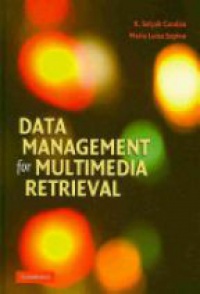 Candan K. - Data Management for Multimedia Retrieval