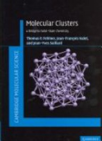 Fehlner - Molecular Clusters, A Bridge to Solid-State Chemistry