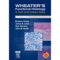 Young B. - Wheater´s Function Histology a Text and Colour Atlas