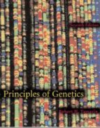 Tamarin R. H. - Principles of Genetics