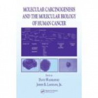 Warshawsky - Molecular Carcinogenesis and the Molecular Biology of Human Cancer