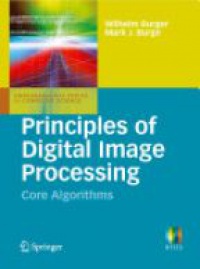 Wilhelm Burger - Principles of Digital Image Processing: Core Algorithms