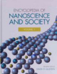 David H. Guston - Encyclopedia of Nanoscience and Society, 2 Volume Set