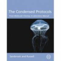 Sambrook - The Condensed Protocols for Molecular Cloning: A Laboratory Manual