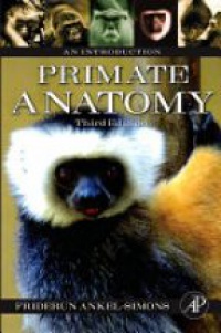 Ankel-Simons - An intro to primate anatomy