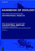 Coleoptera, Beetles. Morphology and Systematics